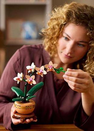Конструктор lego botanicals мини орхидея 5