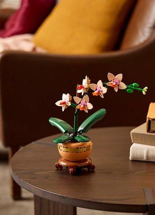 Конструктор lego botanicals мини орхидея 6