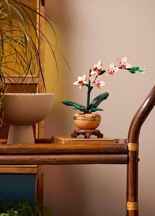 Конструктор lego botanicals мини орхидея 7