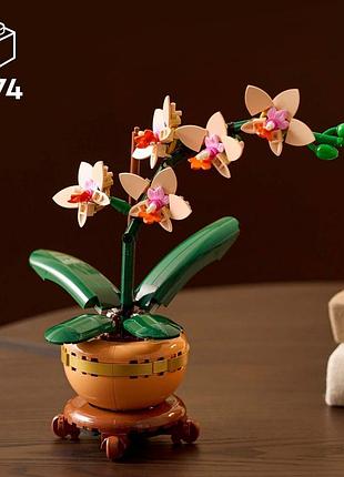 Конструктор lego botanicals мини орхидея 8