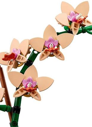 Конструктор lego botanicals мини орхидея 9