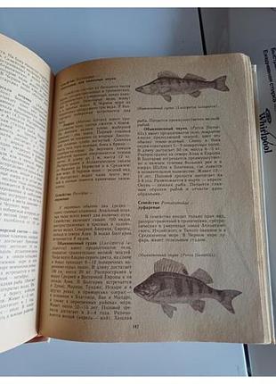 Черное море 7
