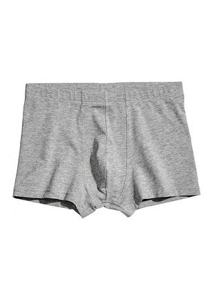 Трусы-боксеры для мужчины h&m 0508993001_1129809-0 m серый