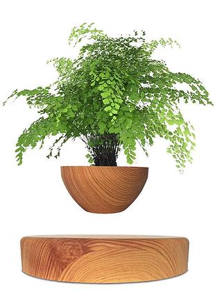 Магнітний левітаційний горщик для рослин hcnt magnetic levitating pot wood grain ( )