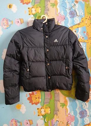 Жіночий пуховик adidas
