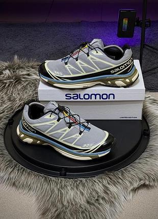 Кросівки чоловічі salomon s-lab xt 6 сірі