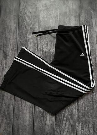 Жіночі спортивні штани adidas