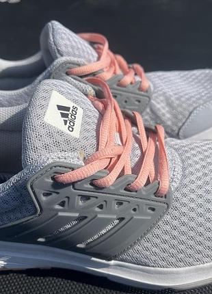 Кросівки жіночі adidas сірі