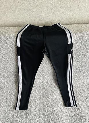 Штани adidas