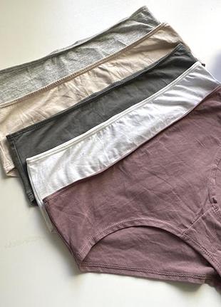 5 шт набір бавовняних трусиків база h&m