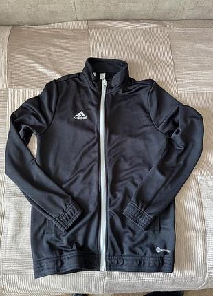 Кофта спортивна на хлопця adidas на блискавці чорна