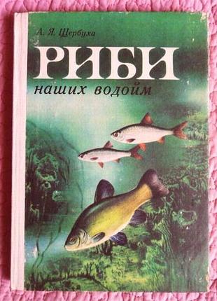 Риби наших водойм. автор: щербуха а.я.
