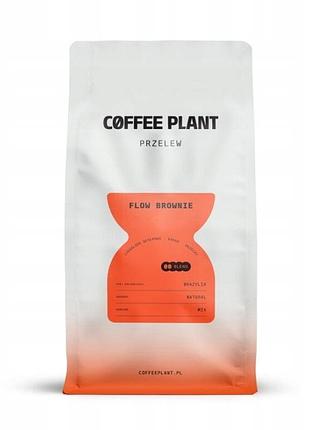 Зернова кава coffee plant flow brownie 100% арабіка 800г