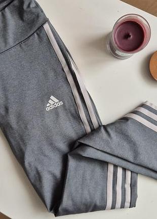 Новые лосины adidas оригинал