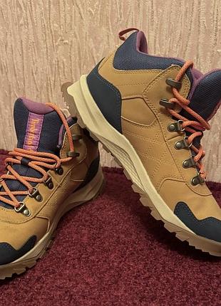 Черевики чоловічі timberdry waterproof бежеві, сині