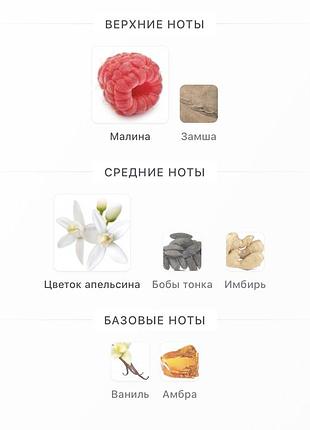 Hoor riiffs perfumes 2