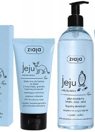 Набір косметики jeju zestaw для молодої шкіри зволоження 5 продуктів синій