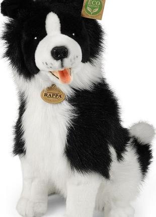 Іграшка maskotka pies border collie 40 cm сидячий великий пес