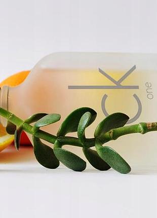 Парфумерна вода calvin klein ck one edt 200ml + атомайзер оригінал 7