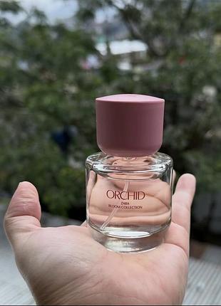 Orchid zara 50 ml