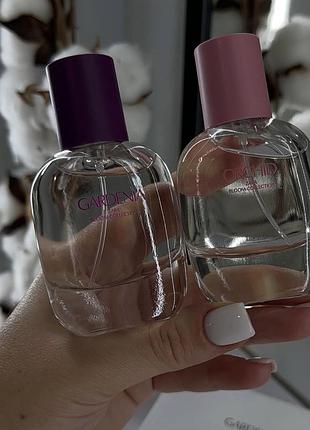 Orchid 30 ml