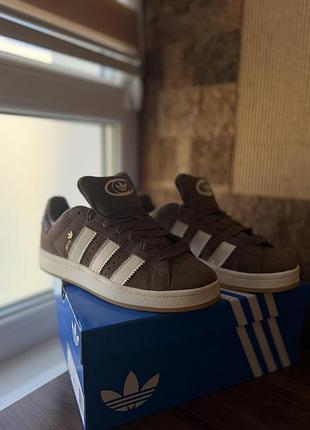 Кросівки жіночі adidas campus коричневі
