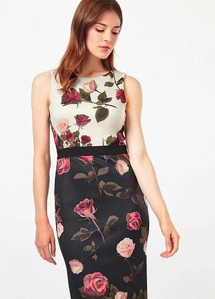 Сукня міді phase eight р.m/l