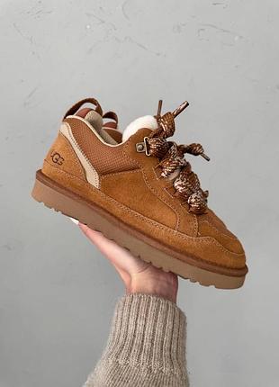 Кросівки/уггі ugg lowmel sneaker chestnut унісекс