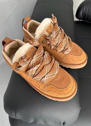 Кросівки/уггі ugg lowmel sneaker chestnut унісекс 3