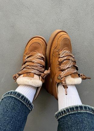 Кросівки/уггі ugg lowmel sneaker chestnut унісекс 5