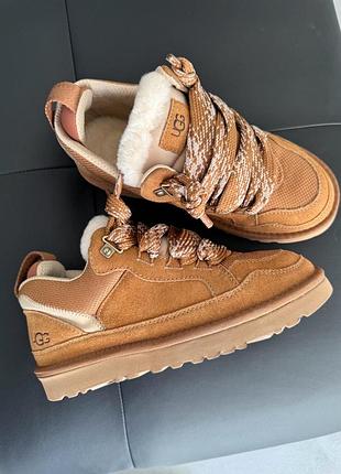 Кросівки/уггі ugg lowmel sneaker chestnut унісекс 2
