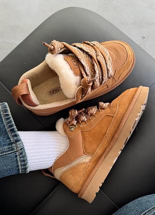 Кросівки/уггі ugg lowmel sneaker chestnut унісекс 8