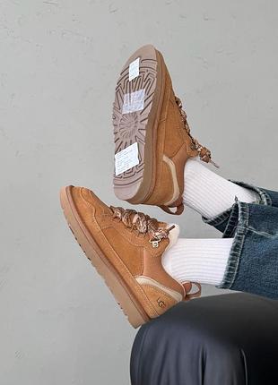 Кросівки/уггі ugg lowmel sneaker chestnut унісекс 4