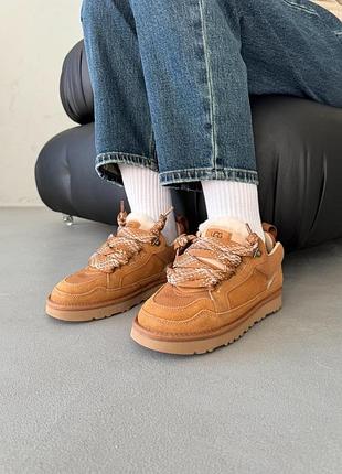 Кросівки/уггі ugg lowmel sneaker chestnut унісекс 6