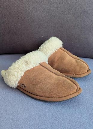 Ugg оригінальні жіночі тапочки 3