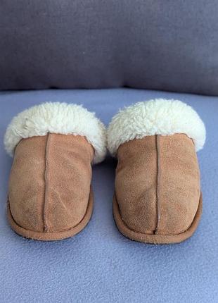 Ugg оригінальні жіночі тапочки 5