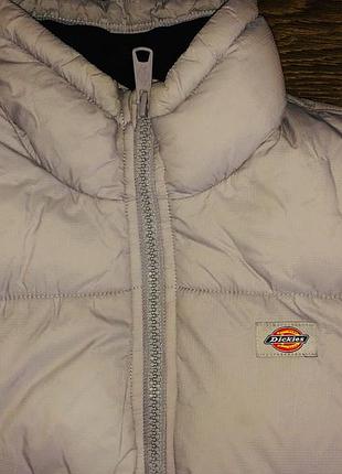 Чоловічий пуховик dickies світловідбивний