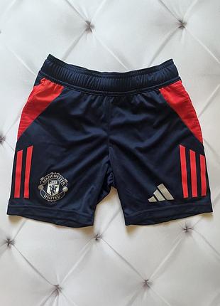 Шорти adidas manchester united, оригінал