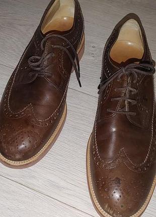 Кожаные броги tod's italy