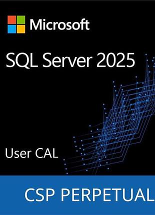 Программный продукт microsoft sql server 2025 - 1 user cal