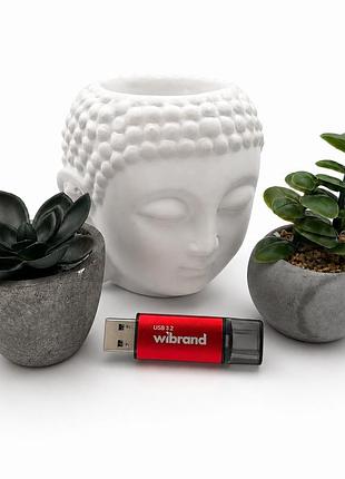 Флеш-накопичувач wibrand usb. ladybug red (. ) 5