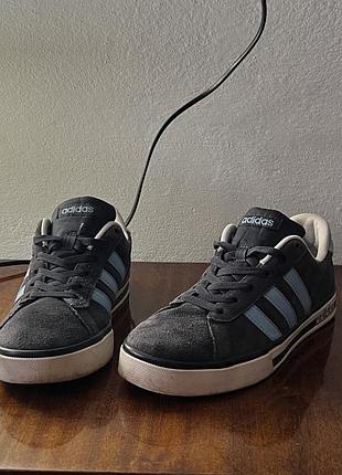 Кросівки чоловічі adidas neo daily team suede блакитні, розмір 42