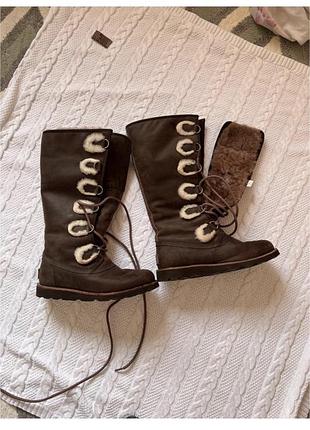 Сапоги  уггі чоботи ugg