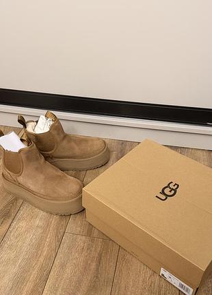 Ugg platform челсі chelsea замшеві чоботи уги