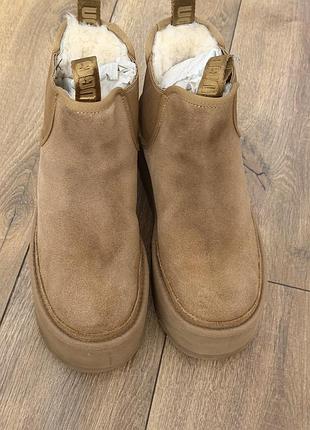 Ugg platform челсі chelsea замшеві чоботи уги 5