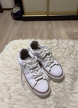 Кеды 👟 кроссы massimo dutti 2