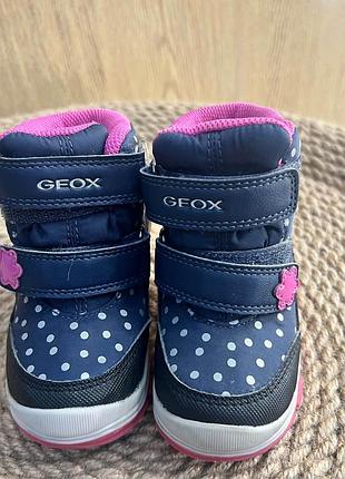 Кожаные зимние ботинки geox, р.20 2