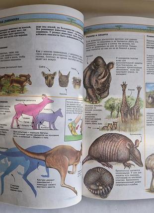 Дитяча енциклопедія живий світ usborne 4