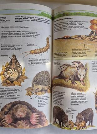 Дитяча енциклопедія живий світ usborne 5