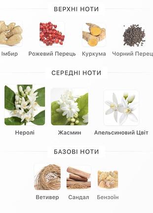 Пробники парфумів від essential parfums 4